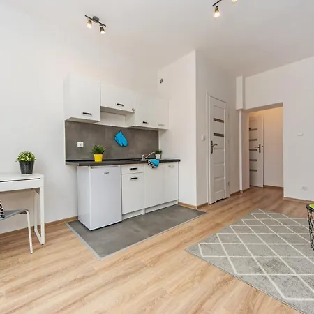 Appartement Smidowicza Studio *